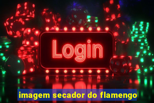 imagem secador do flamengo